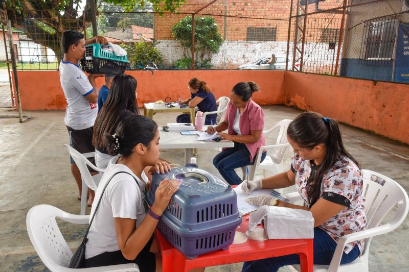 Programa Vet Ananin no bairro do 40 Horas