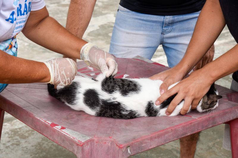 Programa Vet Ananin no bairro do 40 Horas