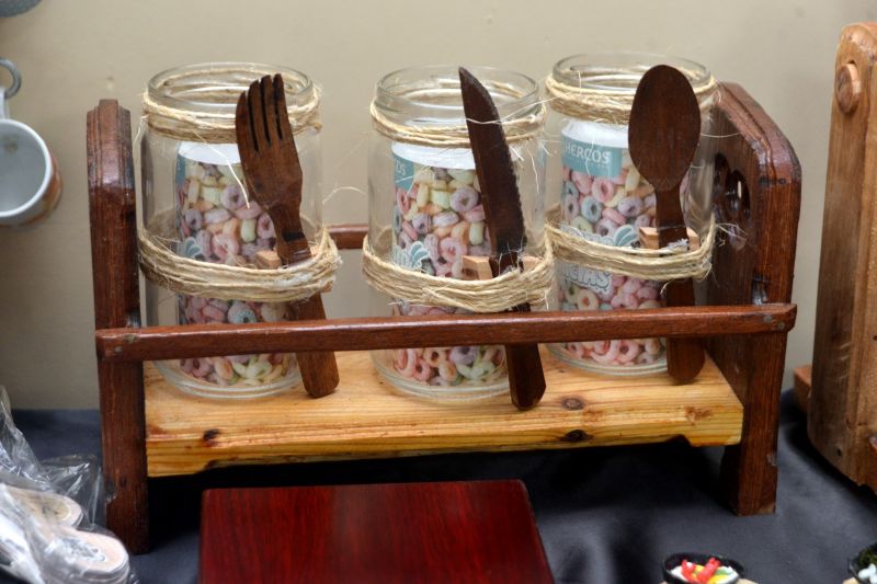 Entrega de CAF+ na câmara municipal de Ananindeua