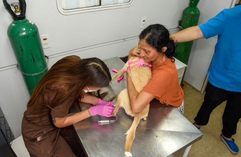 Ação Castramóvel no Guajará l
