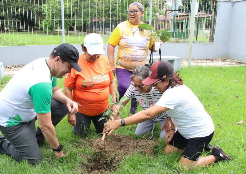 Entrega de mudas e oficina de percepção ambiental no CRAS Estrela