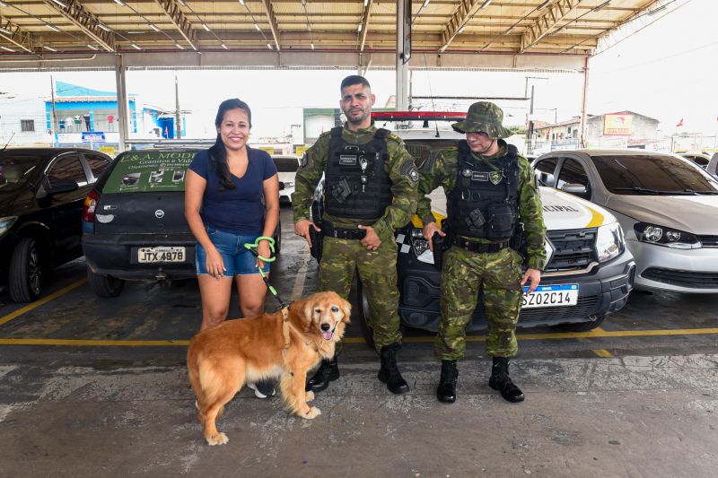 Festival Pet no estacionamento do supermercado Colina