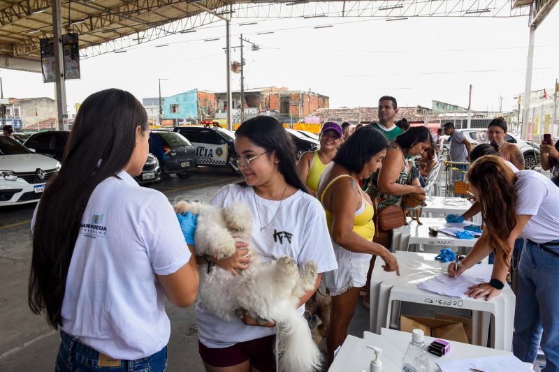 Festival Pet no estacionamento do supermercado Colina