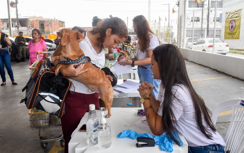 Festival Pet no estacionamento do supermercado Colina