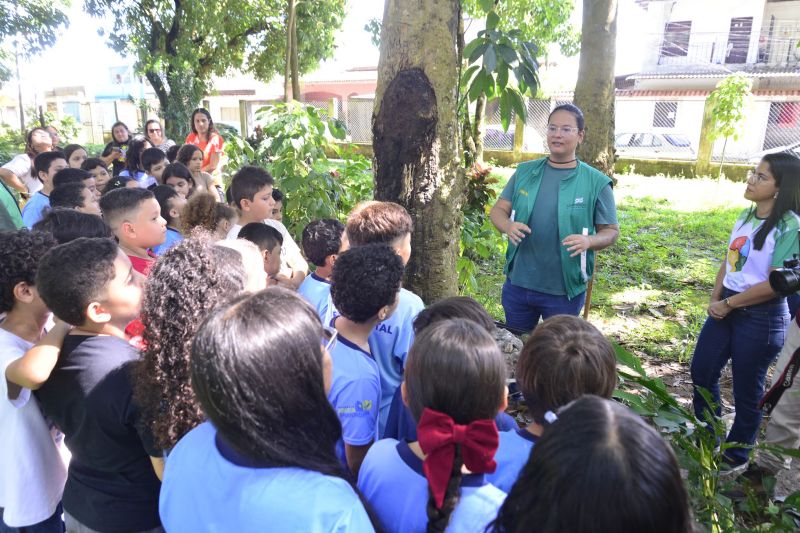 Semana do Meio Ambiente com ações de Educação Ambiental no Parque Seringal