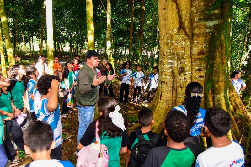Semana do Meio Ambiente com ações de Educação Ambiental, no Bosque Marajoara no conjunto Julia Sefer
