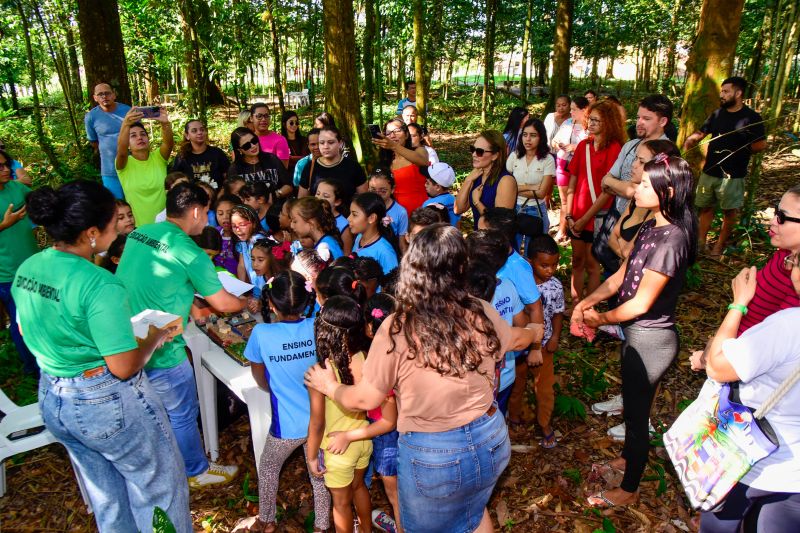 Semana do Meio Ambiente com ações de Educação Ambiental, no Bosque Marajoara no conjunto Julia Sefer
