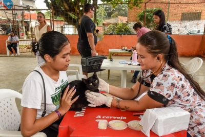 galeria: Programa Vet Ananin no bairro do 40 Horas