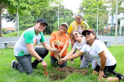 Galeria: Entrega de mudas e oficina de percepção ambiental no CRAS Estrela