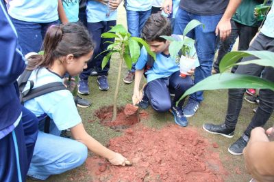 notícia: SEMA intensifica ações e reforça proteção ambiental e urbana em Ananindeua
